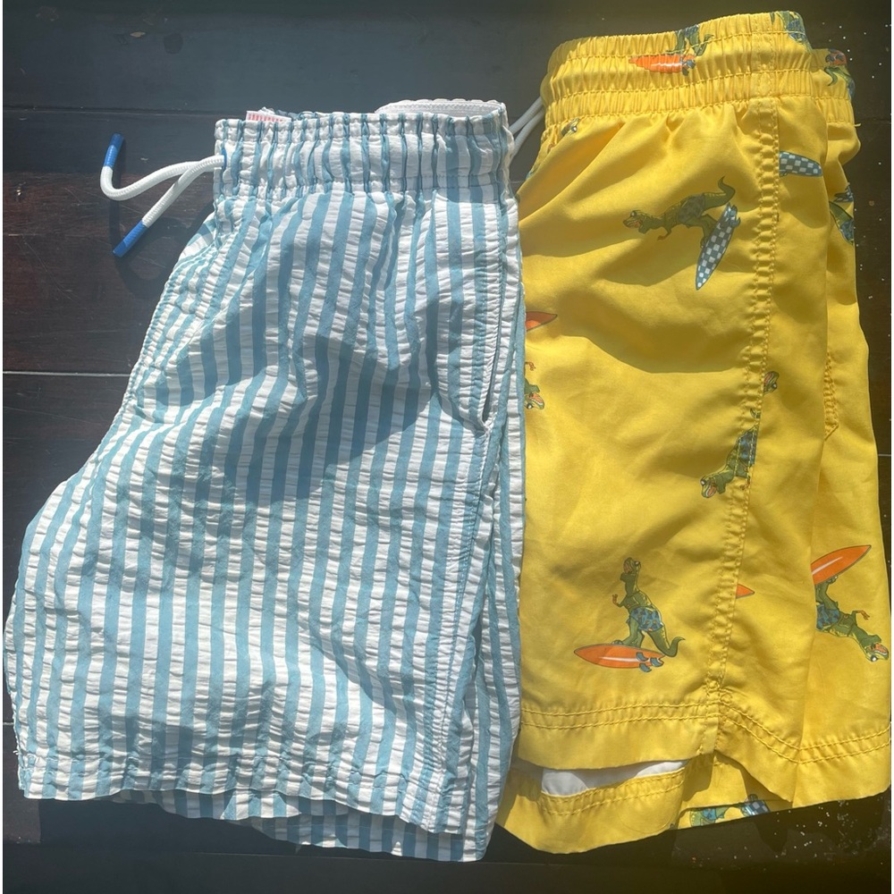 Bundle- 2 pairs of boys 10/12 bathing suits